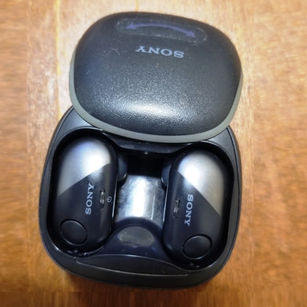 Sony WF-SP700N Wireless Ear Headphones